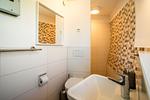 Ferienhaus Tamika am Tollensesee - Gäste-WC mit Dusche - Tamika - Top-Hundeurlaub
