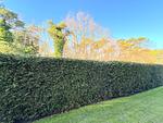 Gartenblick - Strandresidenz Juliusruh Fewo 2 - mit Balkon - Top-Hundeurlaub
