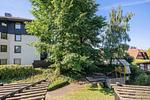 Gartenblick - Ein-Zimmer-Apartment 55/11 - Top-Hundeurlaub