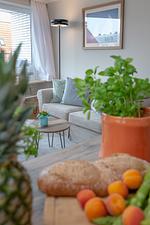 Nordwind - Top-Hundeurlaub