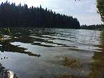 Landschaft - Kaminzeit - Top-Hundeurlaub