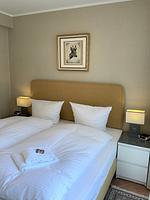 Hirschzeit - Top-Hundeurlaub