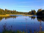 See bei Fredriksberg in Dalarna – Natururlaub nahe dem Ferienhaus Hus Fee - Hus Fee - Top-Hundeurlaub
