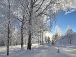 Landschaft - Hus Fee - Top-Hundeurlaub