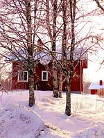 Waldlandschaft rund um Fredriksberg in Dalarna – Natururlaub nahe dem Ferienhaus Hus Fee - Hus Fee - Top-Hundeurlaub
