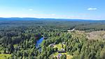 Luftaufnahme der Seenlandschaft rund um Hus Fee in Dalarna - Hus Fee - Top-Hundeurlaub