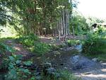 Bach Richtung Badesee - Haus 89 Fewo EG - Top-Hundeurlaub