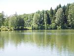 Badesee - Haus 89 Fewo EG - Top-Hundeurlaub