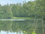 Badesee - Haus 12 See- und Bayerwaldblick OG - Top-Hundeurlaub
