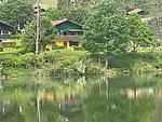 Haus 12 See- und Bayerwaldblick OG - Top-Hundeurlaub
