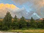 Haus 12 See- und Bayerwaldblick EG - Top-Hundeurlaub
