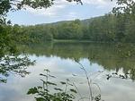 Haus 12 See- und Bayerwaldblick EG - Top-Hundeurlaub