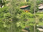 Haus 12 See- und Bayerwaldblick EG - Top-Hundeurlaub