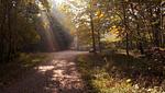 Direkte Umgebung [Sommer] (<1 km) - Ferienhaus Gartenblick - Top-Hundeurlaub