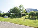 Blick aus der Haustür - Wohnung Strandkrabbe 02 - Top-Hundeurlaub