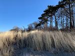 Strand - Ferienwohnung 1 - Top-Hundeurlaub
