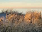 Strand - Ferienwohnung 1 - Top-Hundeurlaub
