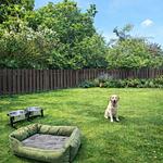 Ferienhaus Dümmerliebe, eingezäunter Garten, 500 Meter zum Dümmer See - Top-Hundeurlaub