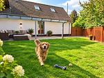 Ferienhaus Dümmerliebe, eingezäunter Garten, 500 Meter zum Dümmer See - Top-Hundeurlaub