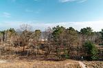 Meerblick - FeWo Ausblick in PRORA - 8.52 - Top-Hundeurlaub