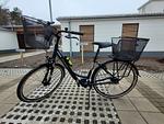Fahrrad - FeWo Loft Sturmmöwe in PRORA - 4.12 - Top-Hundeurlaub