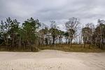 Strand - FeWo Seepferdchen in PRORA - 9.07 - Top-Hundeurlaub