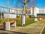 FeWo Sonnenschein in PRORA Block 1 / App. 205-18 - FeWo Sonnenschein in PRORA / Indoorpool - Top-Hundeurlaub