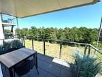 Balkon - FeWo Treibholz in PRORA - 7.41 - Top-Hundeurlaub