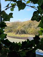 Gartenblick - Dünenkant - Top-Hundeurlaub