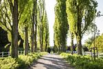 Nachbarschaft - Meierei - Hohwachter Bucht - Top-Hundeurlaub