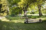 Garten - Meierei - Hohwachter Bucht - Top-Hundeurlaub