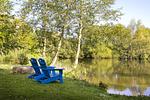 Garten - Meierei - Hohwachter Bucht - Top-Hundeurlaub