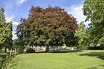 Garten - Pächterhaus - Lübecker Bucht - Top-Hundeurlaub