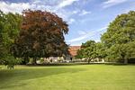 Garten - Pächterhaus - Lübecker Bucht - Top-Hundeurlaub