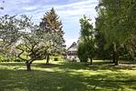 Garten - Kutscherhaus - Lübecker Bucht - Top-Hundeurlaub