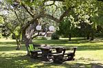 Garten - Kutscherhaus - Lübecker Bucht - Top-Hundeurlaub