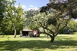 Garten - Kutscherhaus - Lübecker Bucht - Top-Hundeurlaub