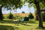 Garten - Ölböhm - Holsteinische Schweiz - Top-Hundeurlaub