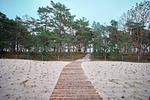 Terrasse - FeWo Hühnergott in PRORA - 5.07 - Top-Hundeurlaub