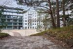 Prora - FeWo Hühnergott in PRORA - 5.07 - Top-Hundeurlaub