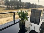Balkon - FeWo Strandloft in PRORA - 7.12 - Top-Hundeurlaub