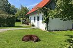 Hauptansicht - Kembser Kate - Ostholstein - Top-Hundeurlaub
