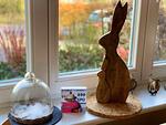 Whg. Seekiste - Vierlindenhof - Top-Hundeurlaub