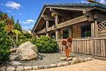 Chalet Hahnenklee - Top-Hundeurlaub