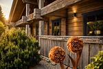 Chalet Hahnenklee - Top-Hundeurlaub