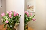 Ferienwohnung Mare Nostrum 4 - Top-Hundeurlaub