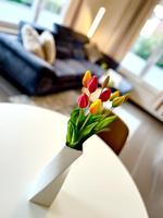 Ferienwohnung mit umzäunten Garten, 250 Meter zum Dümmer See - Top-Hundeurlaub