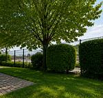Ferienwohnung mit umzäunten Garten, 250 Meter zum Dümmer See - Top-Hundeurlaub