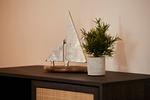 Dekoratives Detail - Kattegat Apartment 02 - Top-Hundeurlaub