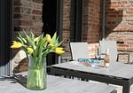 Terrasse - Bernstein Suite & Breakfast Apartment 02 - Top-Hundeurlaub